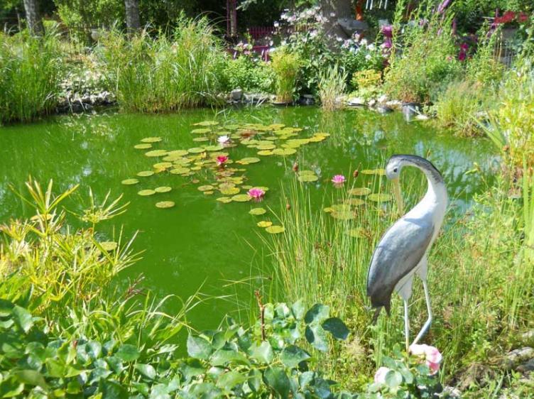 Bed and Breakfast Le Jardin De Marie-Jeanne Achy Экстерьер фото